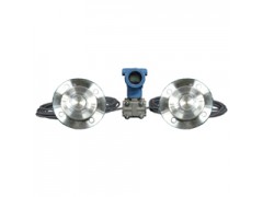 3000LD双法兰差压（液位）变送器