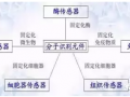 生物传感器的分类