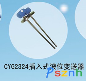 CYG2324插入式液位变送器