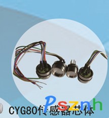 兆恒传感器厂价供应CYG80传感器芯体