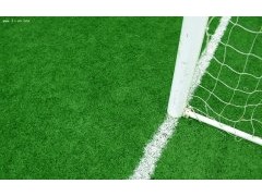 新式的人造草坪|河北华飞体育设施—