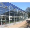冲刺，纹洛式玻璃温室大棚，连栋薄膜温室建设报价@卓群