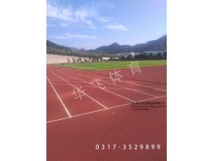 河北优良的混合型塑胶跑道供应商，