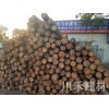 松木桩生产厂家|川禾建材信誉好的松木桩销售商