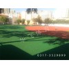 宁夏中卫市塑胶跑道|塑胶跑道厂家价格|塑胶跑道材料