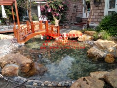 上海市鱼池水过滤系统