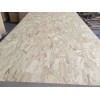 志阳木业OSB定向结构板批发-北京市优质的志阳木业OSB定向结构板供应