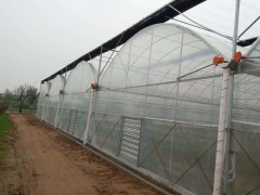 山东蔬菜大棚造价 优质的温室大棚推