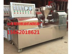 全自动豆制品机械聚财人造肉机专业