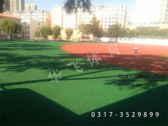 湖南省湘潭市塑胶跑道|塑胶跑道厂家