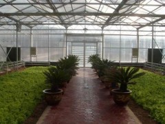 happy生态餐厅温室专业建设，山东草