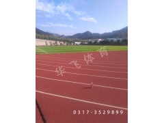 广东省惠州市塑胶跑道|塑胶跑道厂家