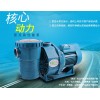 广州游泳池水泵信息——专业游泳池过滤循环设备--爱克水泵