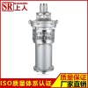 不锈钢油浸式潜水泵代理加盟 上海哪里有卖耐用的不锈钢油浸式潜水泵