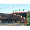 南宁木材加工厂家|广西闽中木业信誉好的建筑木材销售商