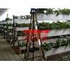 天成温室大棚出售实用的栽培系统_黑龙江栽培系统