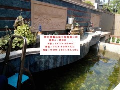 上海市景观鱼池水净化过滤生产厂家