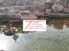 镇江市别墅景观鱼池水净化过滤循环