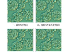 Fischer’s培养基就到宜兴赛尔生物