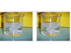 DMEM/F-12培养基优质供应商宜兴赛尔