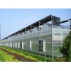 温室动力【凌宇】智能蔬菜水果种植大棚&新型智能温室大棚建造