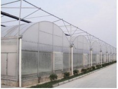 高性价薄膜温室推荐|山西温室蔬菜大
