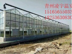 智能温室哪里的好？如何选择智能温