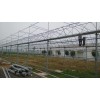 温室大棚建造厂家-河北智能温室