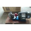 浙江齿轮油泵——沧州品牌好的高温齿轮油泵批售