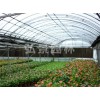 优质花卉温室建设——花卉专用温室大棚建设