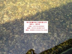 无锡市小区景观河水净化过滤循环增