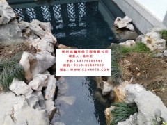 常州市小区景观河水净化过滤循环增