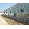 文络式型智能玻璃温室专业设计建造，文络型温室大棚设计