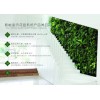 开封环保项目——郑州智能绿植墙代理哪家好