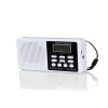 茂名BS-2619调频收音机 市场上较为畅销的BS-2619调频收音机