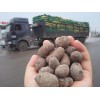 专业的页岩陶粒供应商_彤程轻质建材 页岩陶粒供货厂家