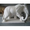 陕西石雕大象 哪里有供应独特设计的石象
