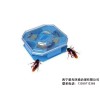 优质的青海专业灭蟑螂就在西宁-青海专业灭蟑螂