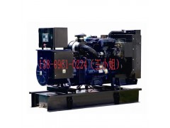 200KW英国帕金斯柴油发电机组要在哪