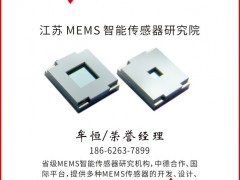 江苏 MEMS 智能传感器研究院认领《图页仪表牌》红桃2为专属牌
