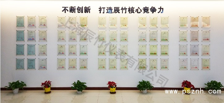 荣誉 | 辰竹董事长王竹平获评CAIMRS领军力量之智未来·产业先锋