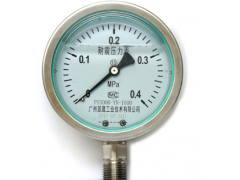 耐震压力表 耐震压力表派晟 耐震压