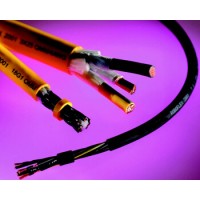 局域网电缆  品牌： BELDEN 标签：连接电缆