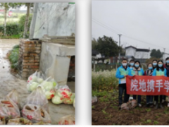 学习雷锋好榜样，团员青年献爱心