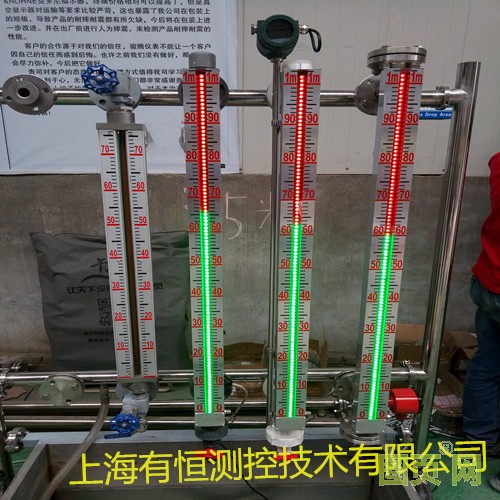 上海有恒测控技术有限公司出品液位计_副本