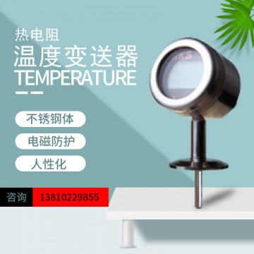 广东洛丁森供应RT2004 热电阻温度变
