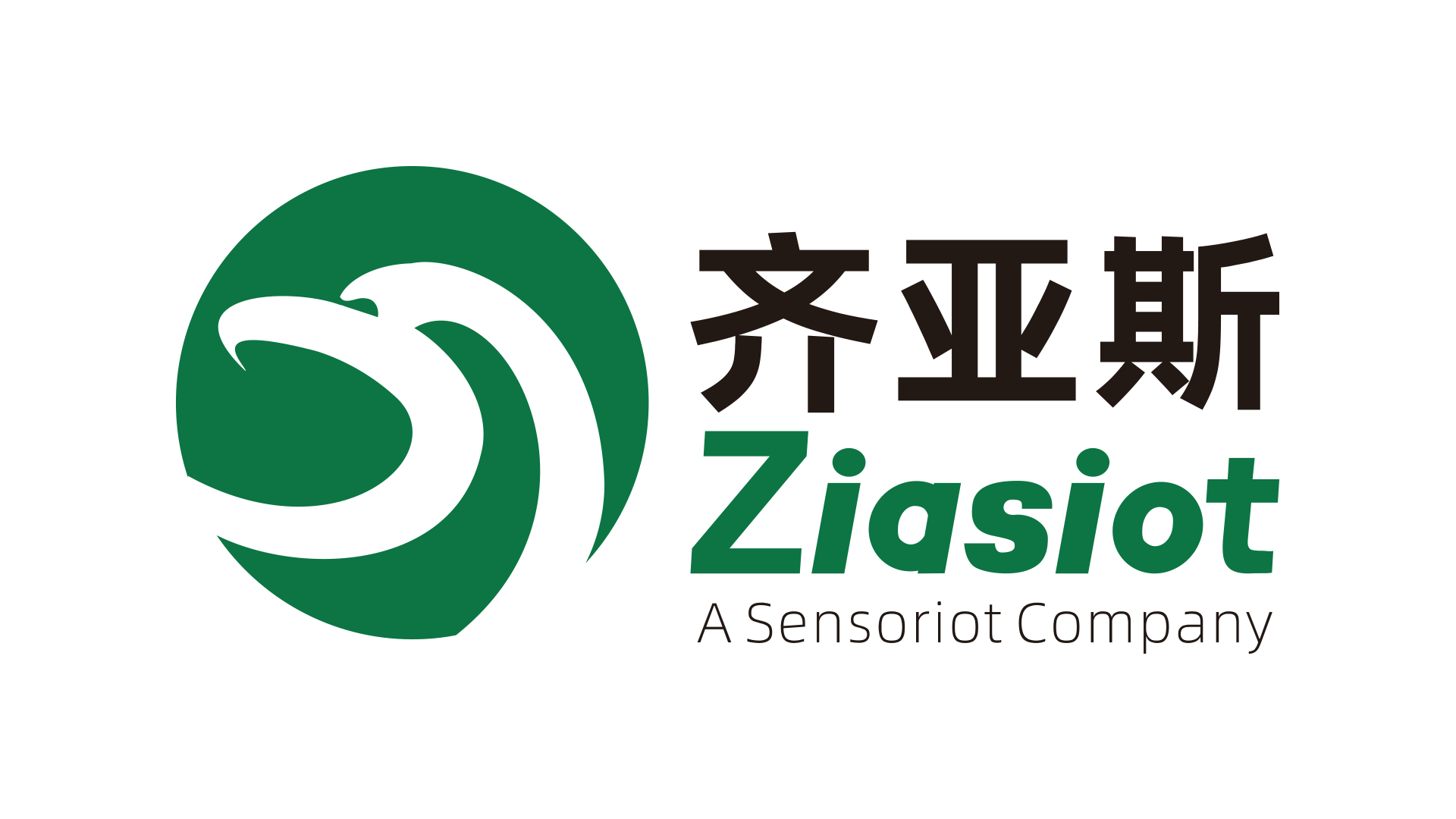 齐亚斯（上海）物联网科技有限公司