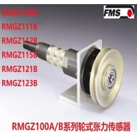 瑞士FMS张力传感器RMGZ100B/C
