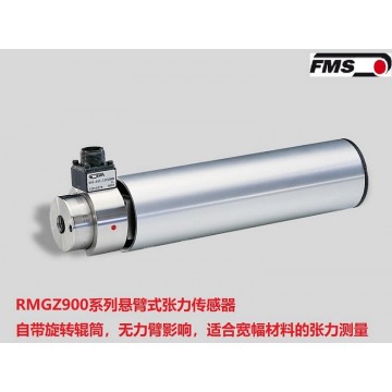 瑞士FMS悬臂张力传感器RMGZ900 中国