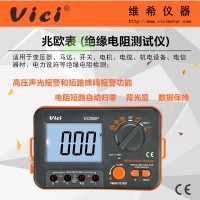 绝缘电阻测试仪VC60B+ 声光报警兆欧表